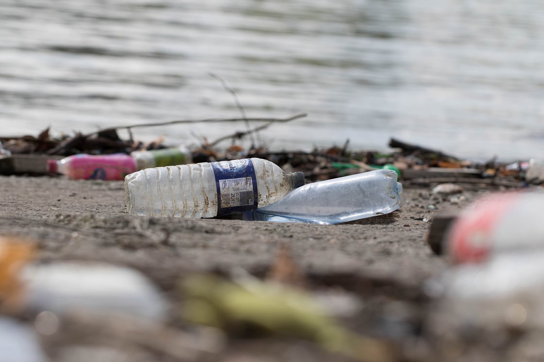 ZSL-CP-Big Bottle Count-26-1-1